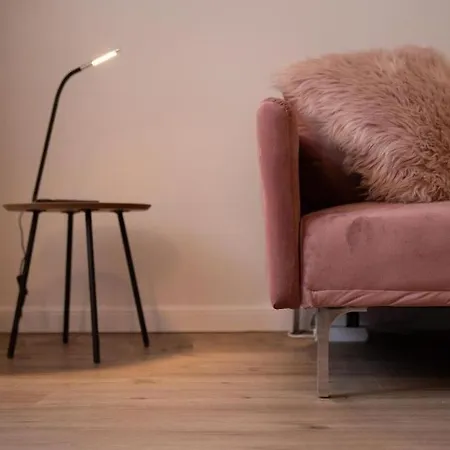 Cityapartments Im Aeltesten Haus Von ראפנסבורג