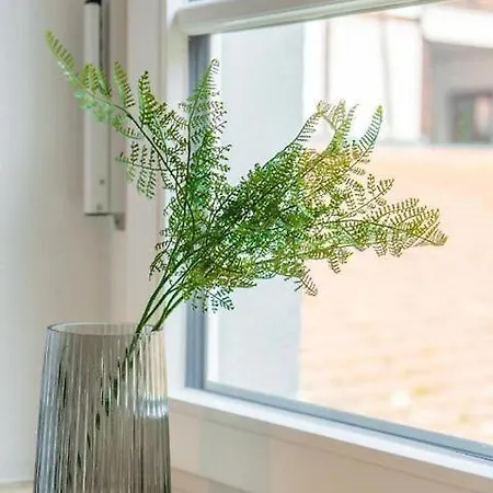 Cityapartments Im Aeltesten Haus Von * 라벤스부르크
